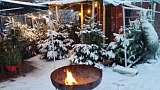 Kerstbomen Maassluis